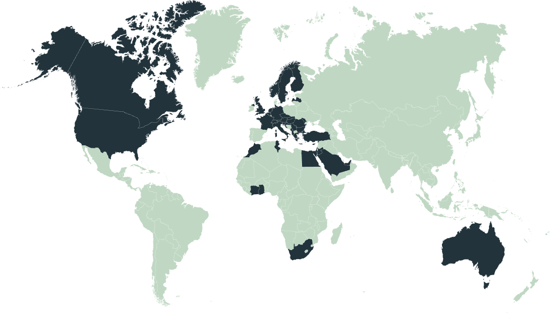 network map image