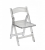  Tiger Chair Clear 