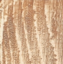  Table Top Solid Fir Wood Decape 60x60x4cm 