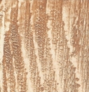  Table Top Solid Fir Wood Decape 80x80x4cm 