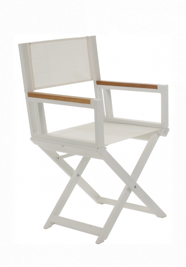  Florida/P-ALU* Director Armchair 