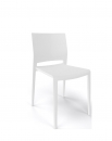  Bakhita* Chair 