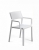  Trill/P* Armchair 