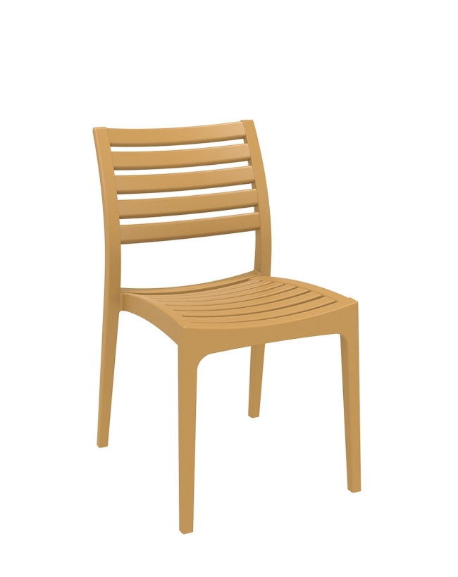  Ares/PL* Chair Teak 