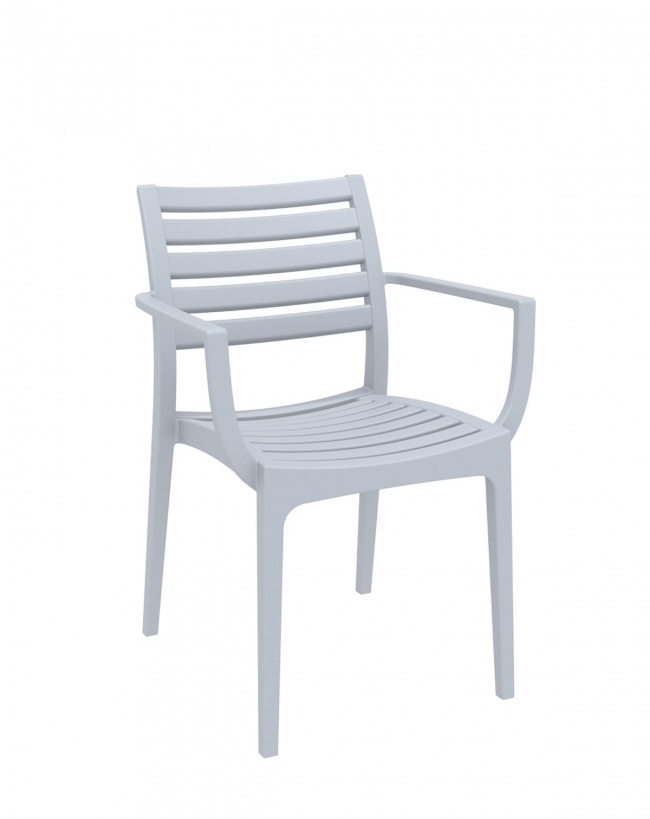  Artemis/PL* Armchair Silver 