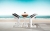  Onda/Bar-7* Set (2042340) 