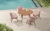  Vasca/D5 Dining Set (301560) 