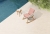  Vasca/R Rocking Armchair (301525) 