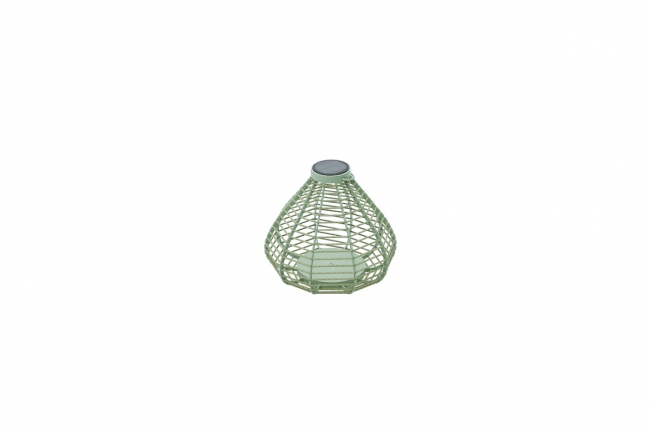  Apollo/LR   Green (33184003) 