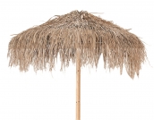  Fun Palm Umbrella 