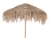  Fun Palm Umbrella 