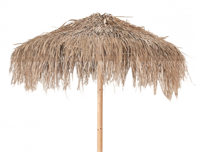 Fun Palm Umbrella 