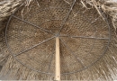  Fun Palm Umbrella 