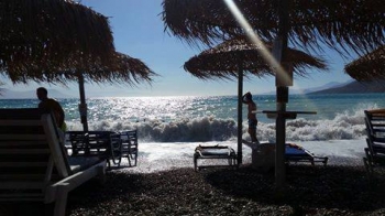  Bar de plage paradisiaque 