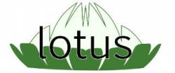  Lotus 